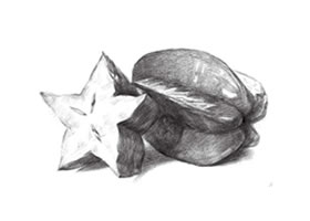 阳桃素描画法