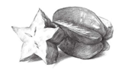 阳桃素描画法步骤03