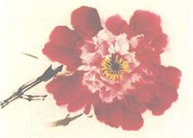 牡丹正面花头的写意画法