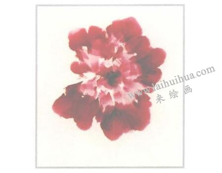 粉红牡丹花正面写意画法步骤03