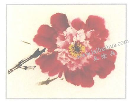 粉红牡丹花正面写意画法步骤04