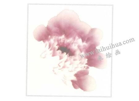 粉红牡丹花侧面写意画法步骤03