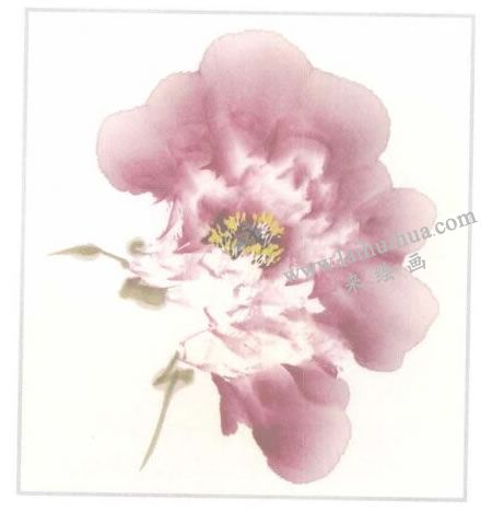 粉红牡丹花侧面写意画法步骤05