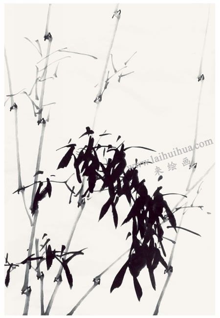 贾宝珉《竹韵》画法步骤05