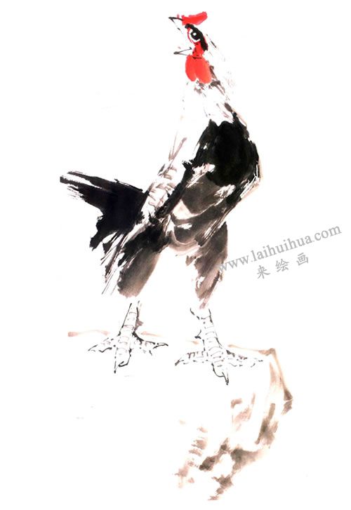 林成翰《司晨图》画法步骤07