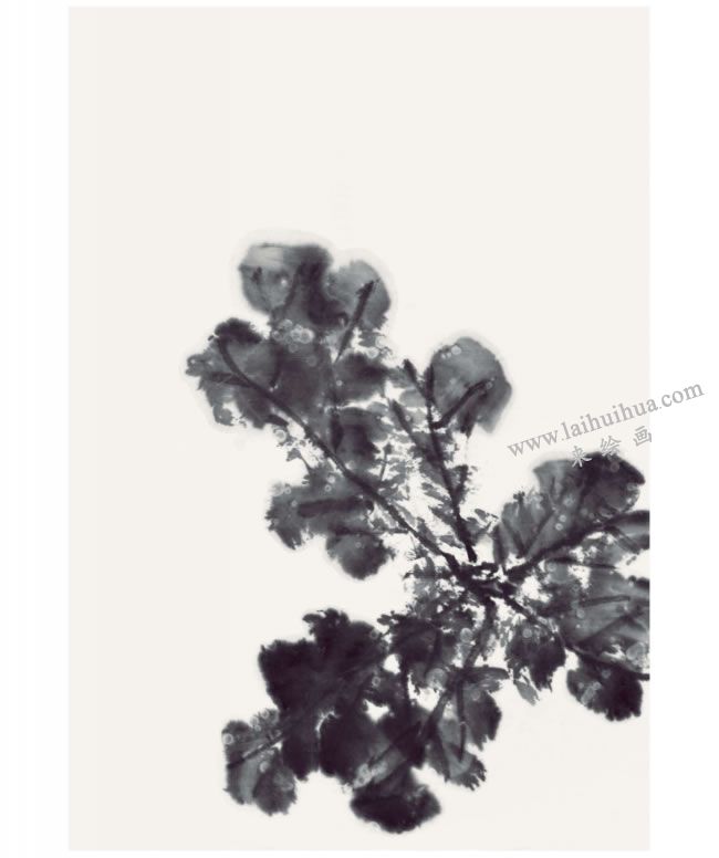 郭书仁《清水出芙蓉》画法步骤02