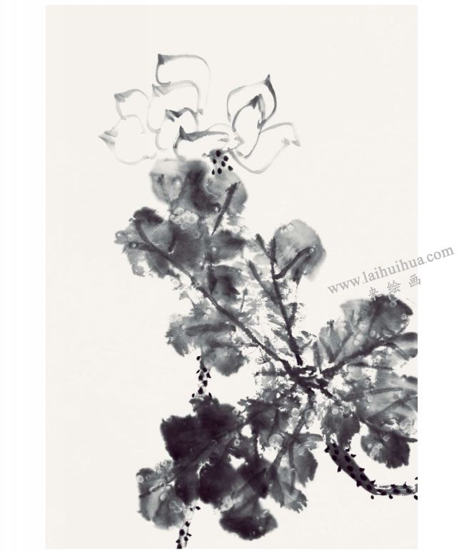 郭书仁《清水出芙蓉》画法步骤04