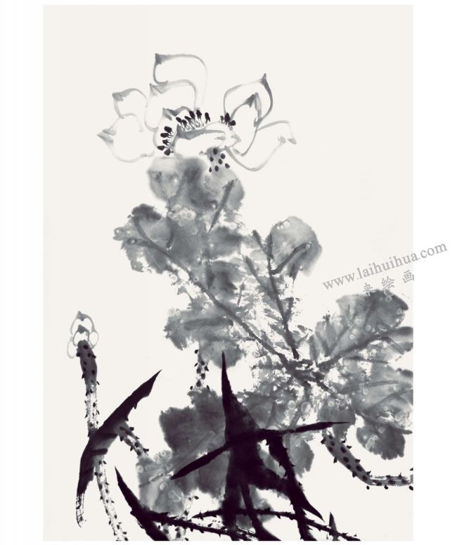 郭书仁《清水出芙蓉》画法步骤06