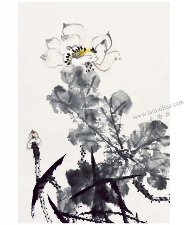 郭书仁《清水出芙蓉》画法步骤07