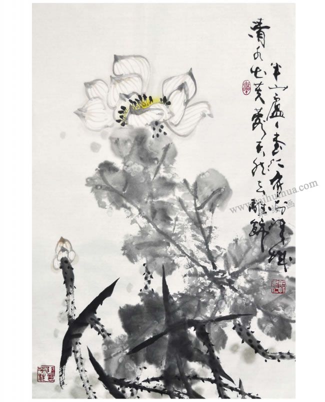 郭书仁《清水出芙蓉》画法步骤09