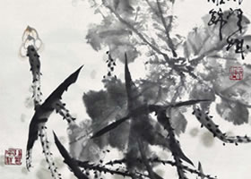 郭书仁《清水出芙蓉》画法