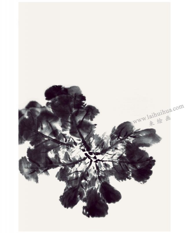 郭书仁《一花一世界》画法步骤02