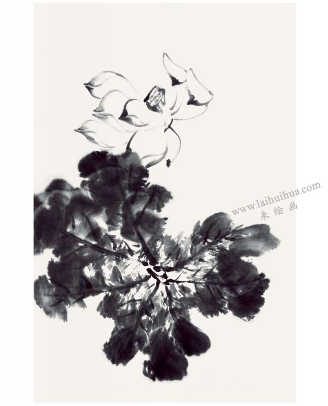 郭书仁《一花一世界》画法步骤03