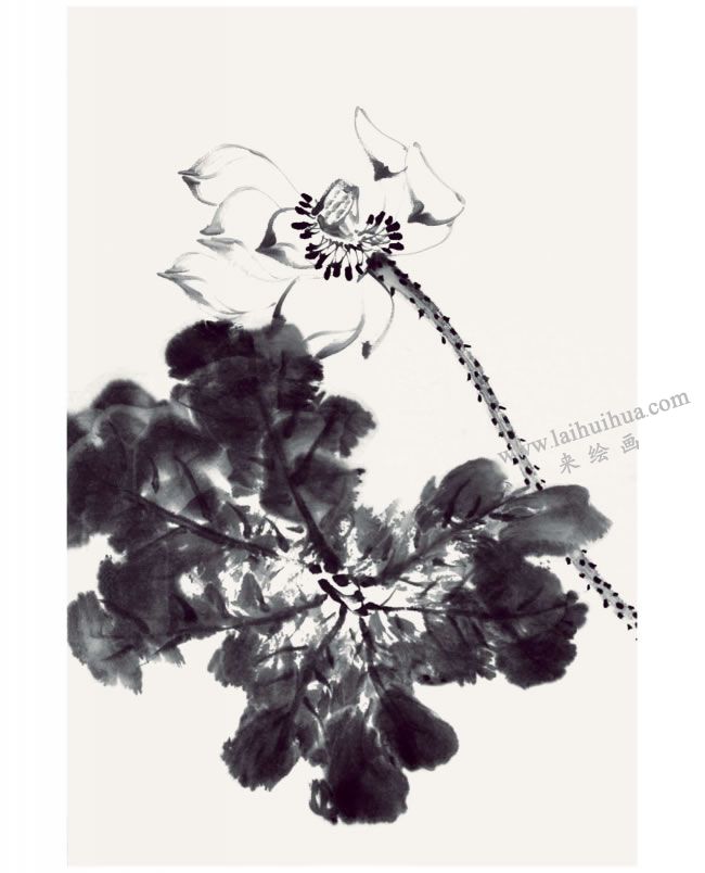 郭书仁《一花一世界》画法步骤04