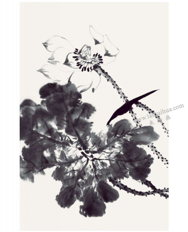 郭书仁《一花一世界》画法步骤05