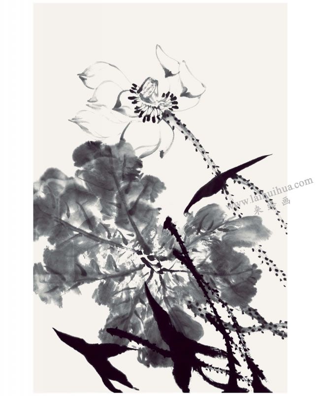 郭书仁《一花一世界》画法步骤06