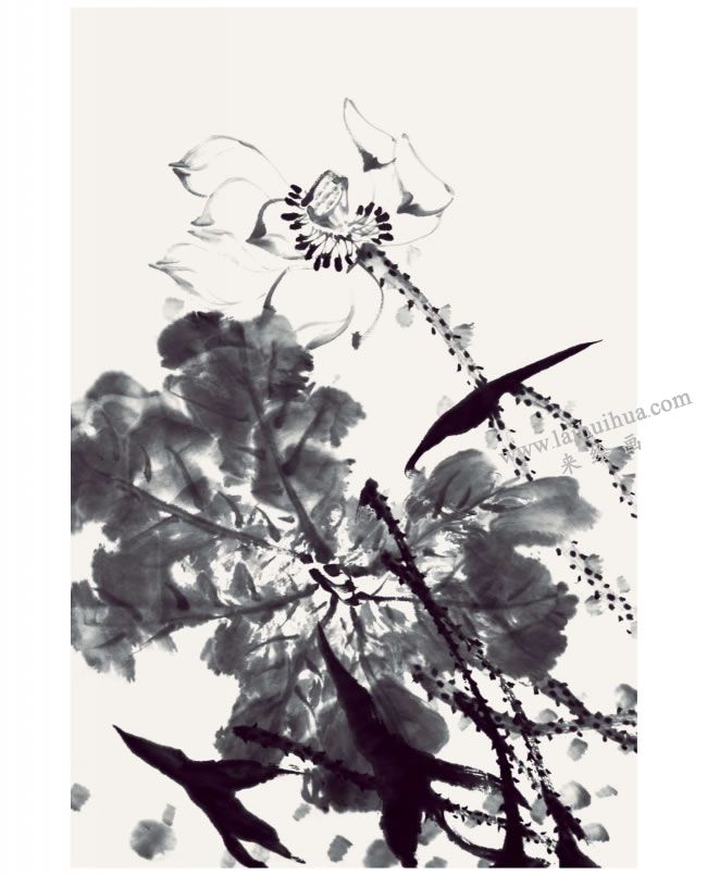 郭书仁《一花一世界》画法步骤07