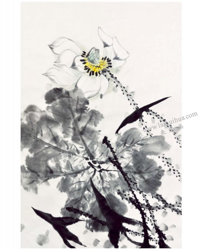 郭书仁《一花一世界》画法步骤08