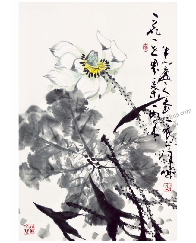 郭书仁《一花一世界》画法步骤09