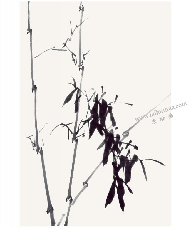 贾宝珉《听雨》画法步骤05