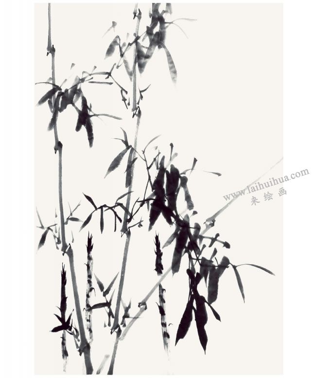 贾宝珉《听雨》画法步骤07
