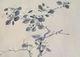 陈淳《花卉图》卷赏析