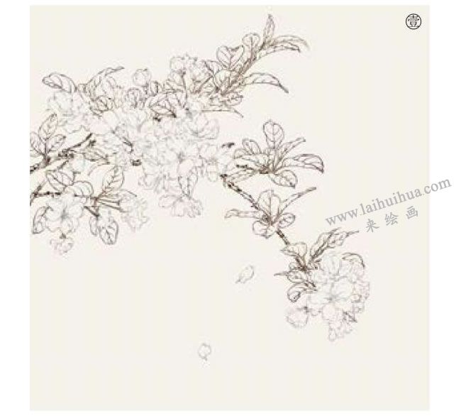 工笔海棠花画法步骤01