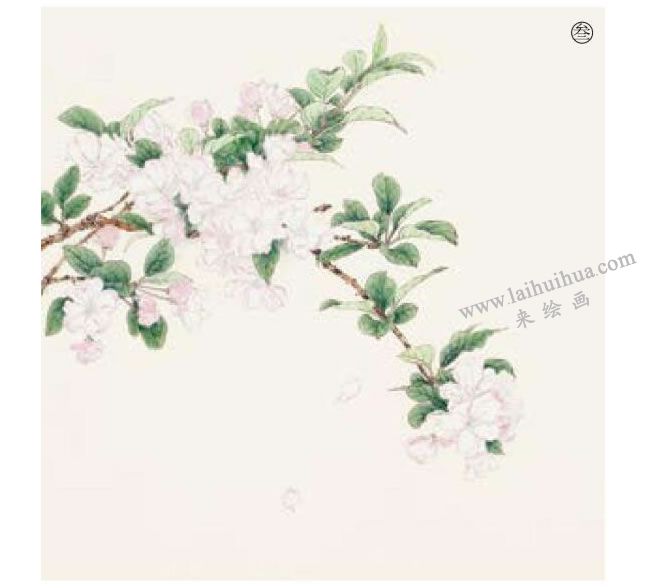 工笔海棠花画法步骤03