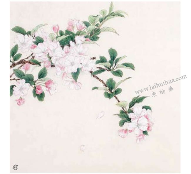 工笔海棠花画法步骤04
