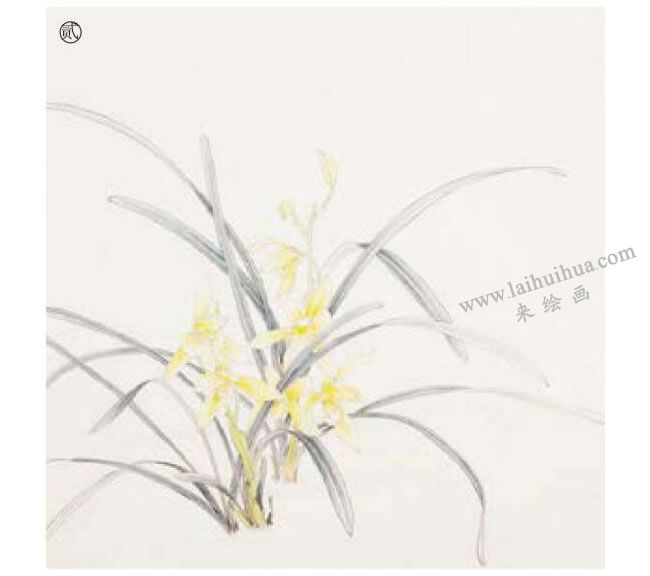 兰花工笔画法步骤02