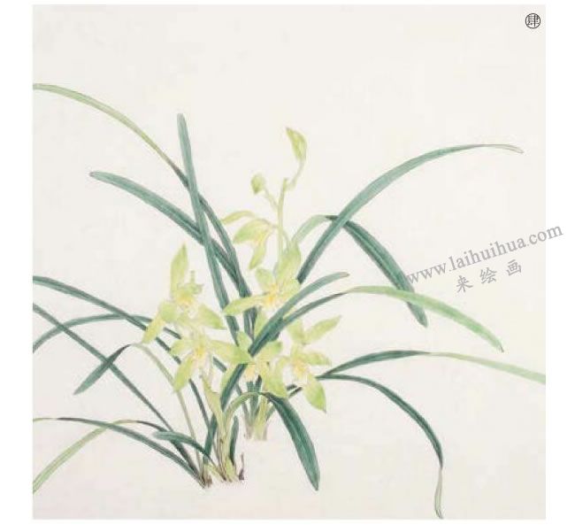 兰花工笔画法步骤04