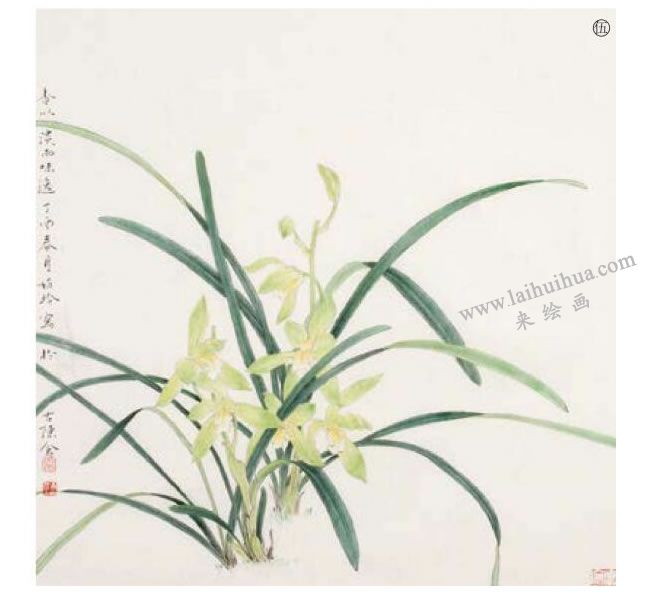兰花工笔画法步骤05