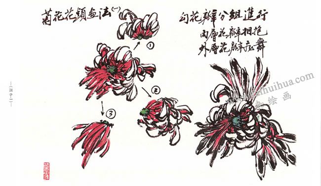 菊花花头的写意画法