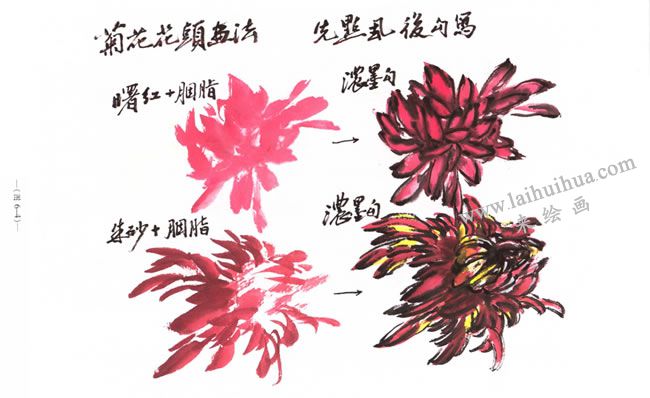 菊花花头的画法02