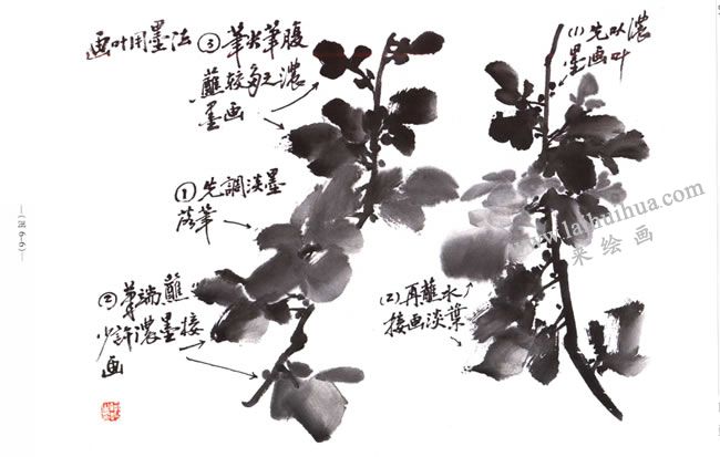 菊花花叶的用墨方法