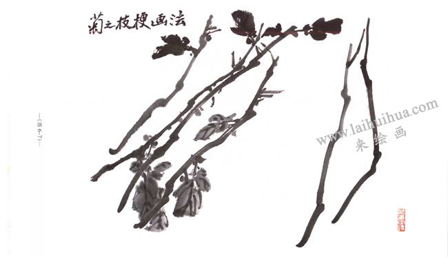 菊花枝梗的画法