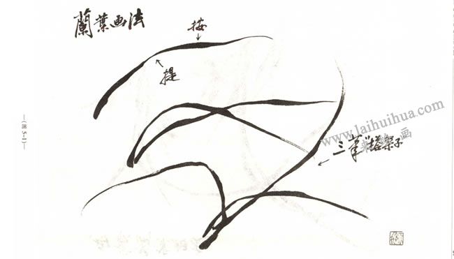 兰叶的画法