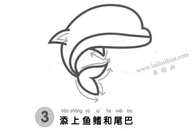 海豚儿童画法步骤图解03