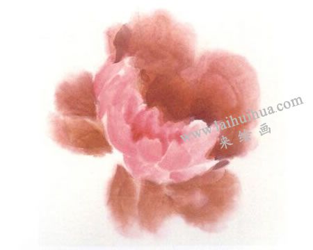粉色牡丹花画法步骤图示03