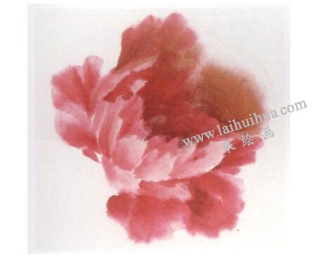 粉色牡丹花画法步骤图示04