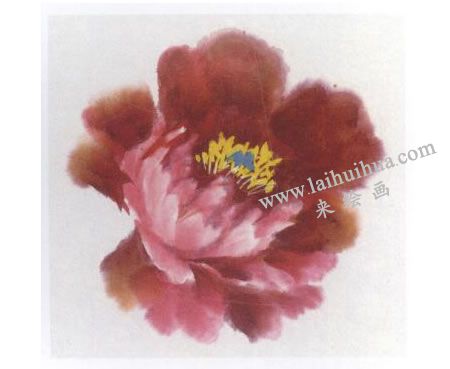粉色牡丹花画法步骤图示06