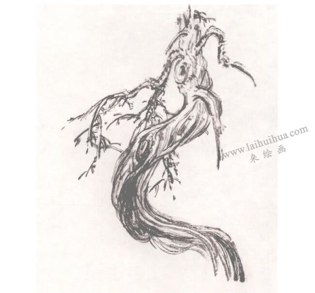 中国画柏树画法步骤02