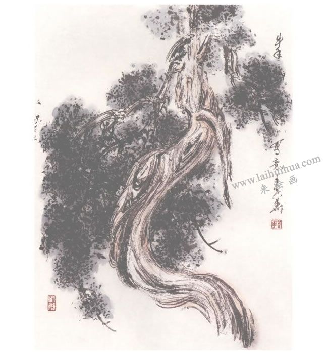 中国画柏树画法步骤04