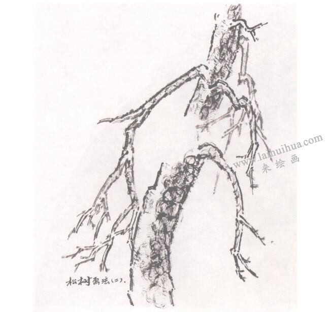 中国画松树的画法步骤02