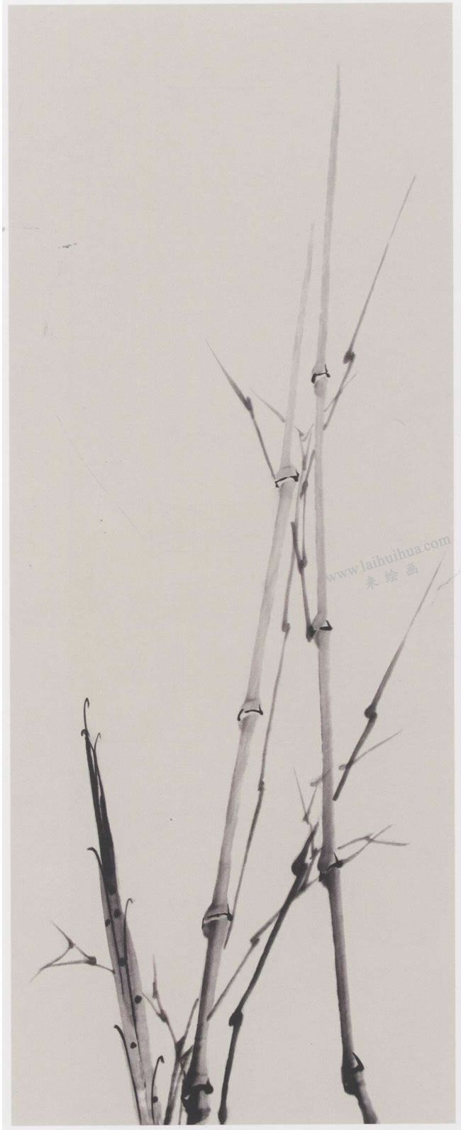 中国画墨竹《劲节虚心》画法步骤02