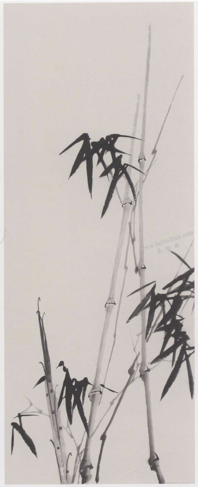 中国画墨竹《劲节虚心》画法步骤03
