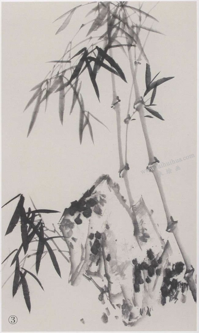 中国画墨竹《岁岁平安》画法步骤03