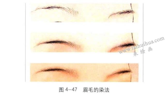 眉毛的染法，工笔人物画