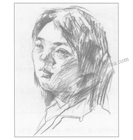 女性人物头像速写步骤03
