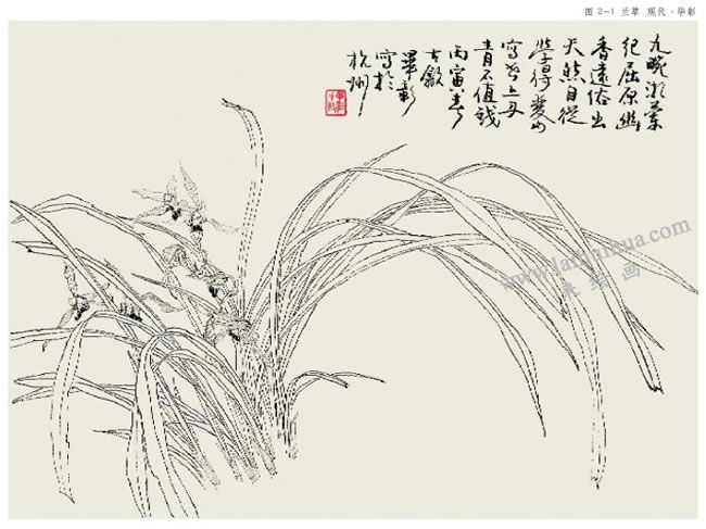 工笔画勾勒范例